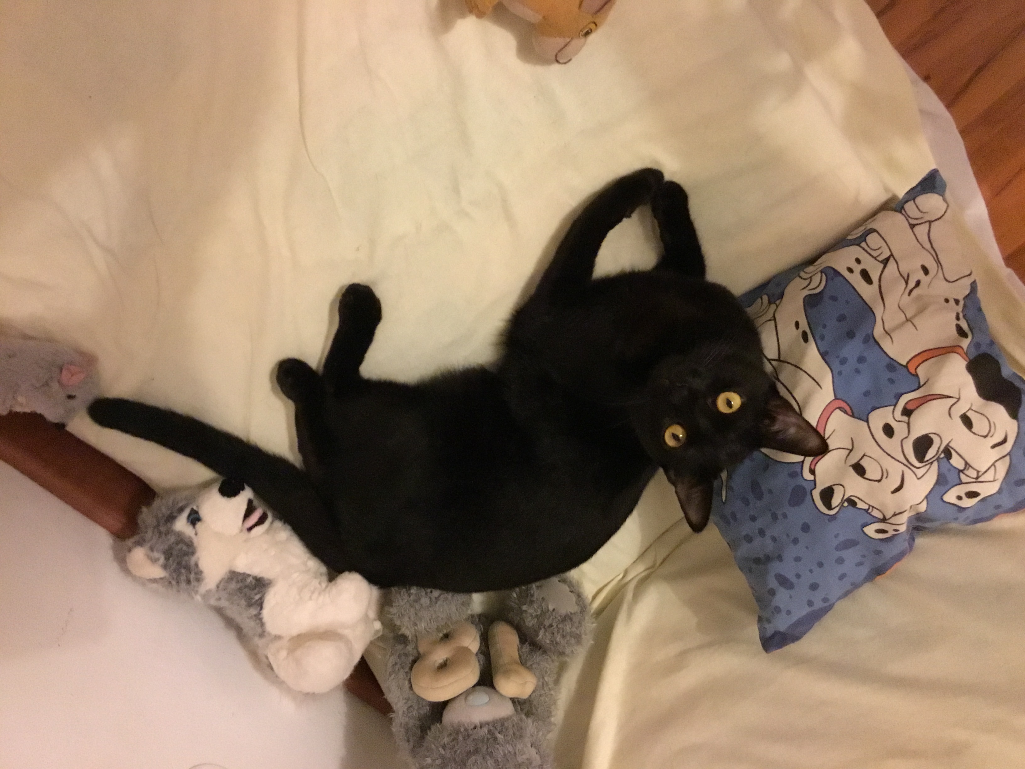 Photo de profil de Méty