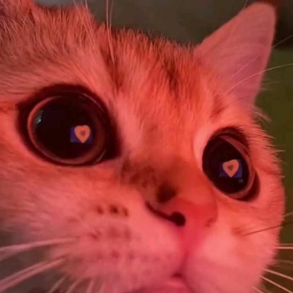 Photo de profil de Ojoonae